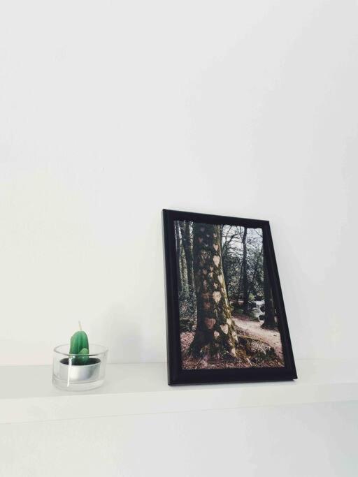Precioso Apartamento Con Banera Hidromasaje Apartment โซเปลานา ภายนอก รูปภาพ